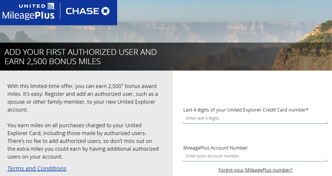 chase united add authorized user