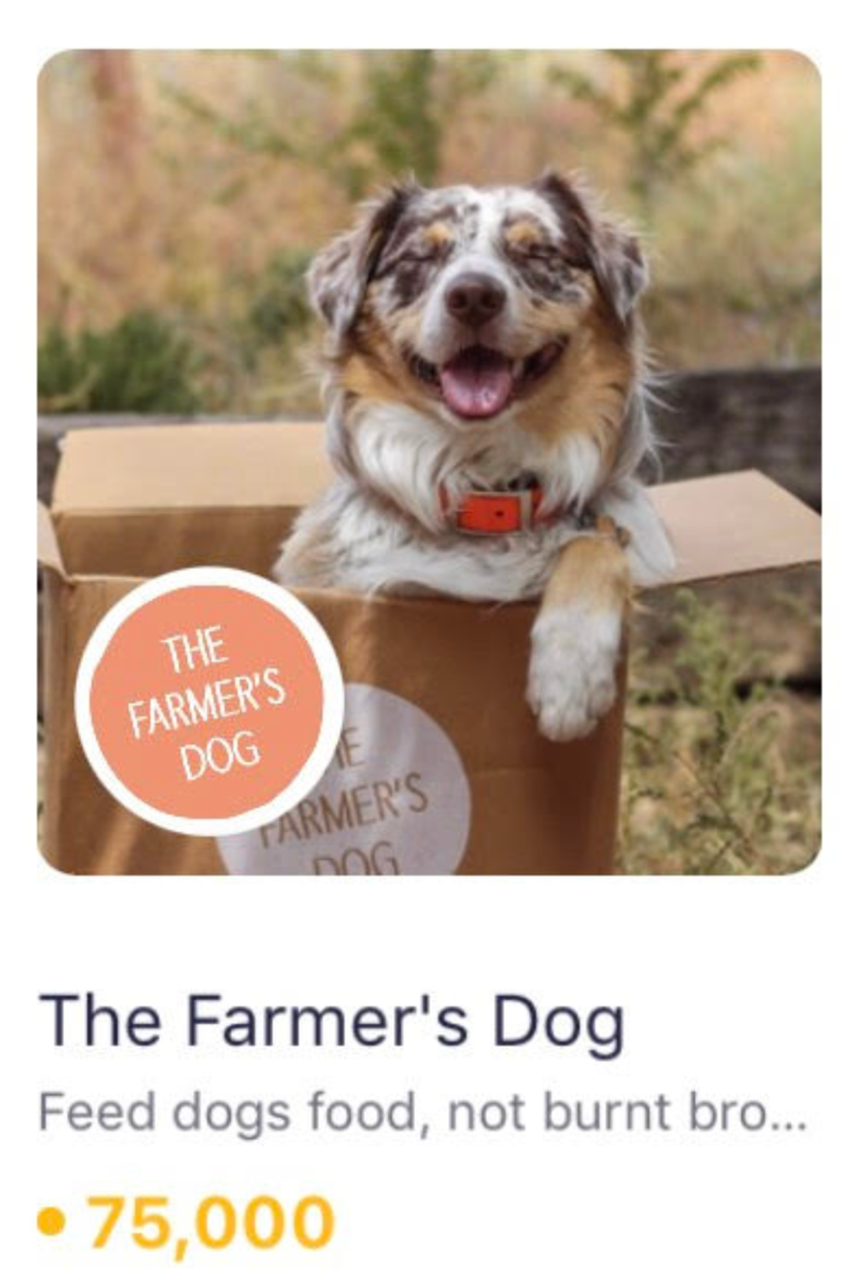 The farmer's clearance dog coupon